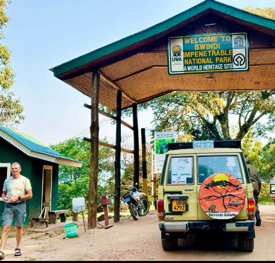 Ultimate Guide to Gorilla Trekking in Bwindi Impenetrable Forest